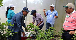  MIDA realiza muestreo en Vivero Semillas y Plantones de Tambo Cocl