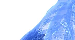 Cncer de mama principal causa de muerte para las caribeas