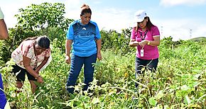 Inclusin Productiva con los huertos caseros proyecto Redes Territoriales