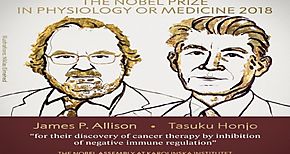 Nobel de Medicina del 2018 para investigacin relacionada con terapias contra el cncer
