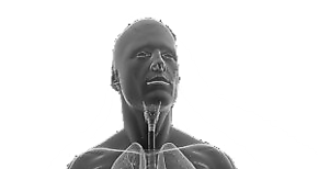 Descubren mejor tratamiento para rechazo de trasplante de hgado