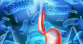 Los casos de gastroenteritis aumentan con el calor y el fro