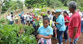 Da Mundial de la Educacin Ambiental