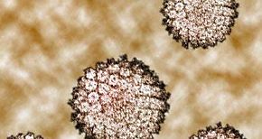 Cientficos mexicanos lograr eliminar al 100 virus del papiloma humano