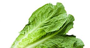 Estudio evidencia que vitamina K mejora salud del corazn