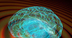 Determinan el epicentro del envejecimiento en el cerebro