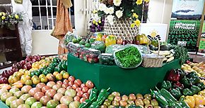 Frescas o congeladas Estas verduras son las ms nutritivas