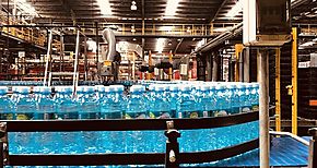 Sistema CocaCola devuelve a la naturaleza 155 del agua usada para la produccin de las bebidas