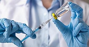 Avances de un ensayo preclnico de una vacuna contra la malaria