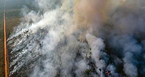 Cambio climtico aumenta los incendios forestales
