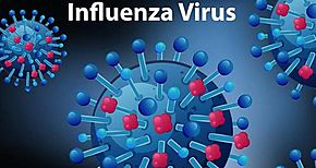 Vacunacin contra coinfeccin por COVID19 e influenza