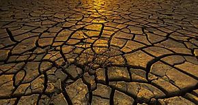 Tecnologas y cambio climtico elevan desafos laborales