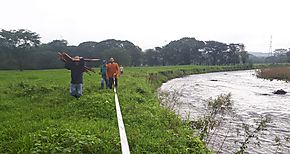 Reforestan toma de agua de ro San Flix