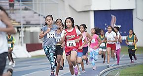 Buscando Campeones apuesta deportiva de la Alcalda de Panam 