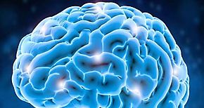 Nuevos hallazgos del desarrollo del cerebro en la adolescencia