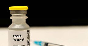 Tras dos aos de ausencia reaparece en Uganda el letal bola