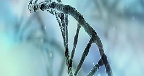 Japn planea estudiar genomas completos para prevenir el cncer