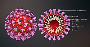 Reitera OMS que jvenes tambin peligran frente a la Covid19