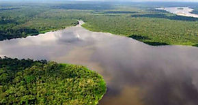 Brasil lanza plan contra crimen en selva amaznica