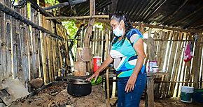 MIDES a travs del Plan Colmena gestiona ayuda social a familias chiricanas