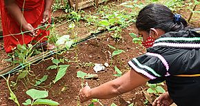 Pandemia genera profundo retroceso en participacin laboral de mujeres en Latinoamrica