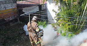 Centroamrica enfrenta incremento significativo de casos de dengue