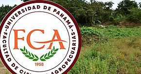 Brote de Covid en Facultad de Ciencias Agropecuarias de la Universidad de Panam en el corregimiento de Chiriqu