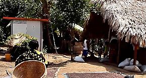 La agencia del IMA en Guna Yala apoya a los productores de caf
