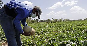 Reconocen trayectoria de productores en Chiriqu