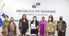Ministra Castillo sostuvo reunin con mujeres de partidos polticos
