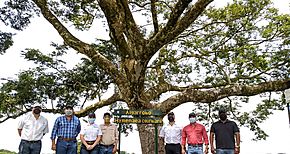 Veraguas cuenta con el primer parque interactivoforestal en el interior del pas
