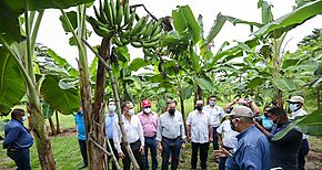 Anuncian construccin de dormitorios en la Facultad de Ciencias Agropecuarias en Chiriqu