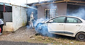 Baja infestacin de Aedes Aegypty en Chiriqu