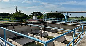 Proyecto de ampliacin y mejoras a la planta de Villa Darin en fase final