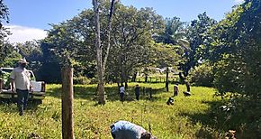 MiAMBIENTE intensifica los operativos forestales en la provincia de Chiriqu