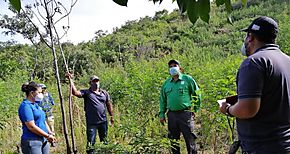 Realizan evaluacin del Proyecto Cash For Work ejecutado por MIAMBIENTE en Veraguas