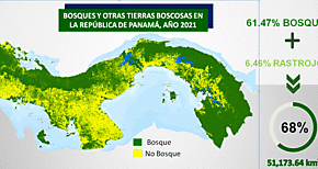Panam incrementa en un 3 su cobertura boscosa