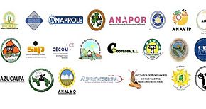 Comunicado de los gremios productores agropecuarios agroindustrias y organizaciones afines
