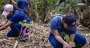 MiAmbiente fortalece gestin forestal con nueva tecnologa