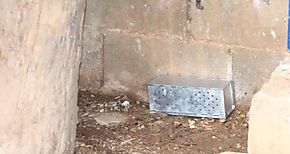 Realizan inspecciones contra el hantavirus en comunidades en Los Santos
