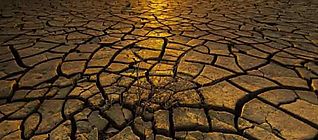 Tecnologas y cambio climtico elevan desafos laborales
