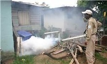 Aumentan los casos de dengue en la provincia de Chiriqu