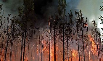 Calculan impacto global de desastres naturales
