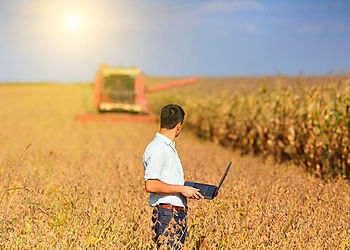 Preparacin cultural y comportamientos guas para la innovacin empresarial en 9 pasos