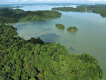 Panamá vegetación