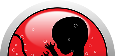 Curar embriones con anomalas genticas cada da ms cerca