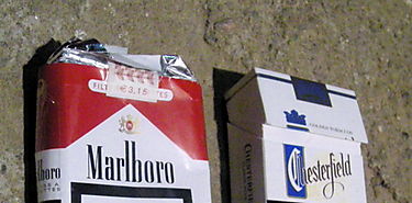 Fumar representa el principal factor de riesgo de cncer en el mundo