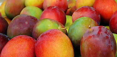 Sabes cuntas clases de mango existen