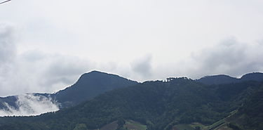 Da Internacional de los Trpicos
