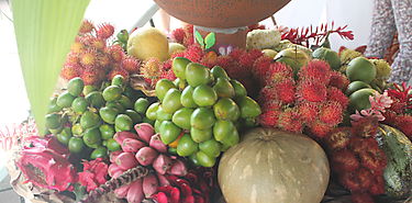 Frutas dietas saludables y agricultura familiar